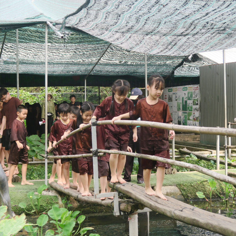 Hình 3: Những bước chân tự tin chinh phục thử thách cầu khỉ của học sinh lớp 1 trường Tiểu học VSCHOOL