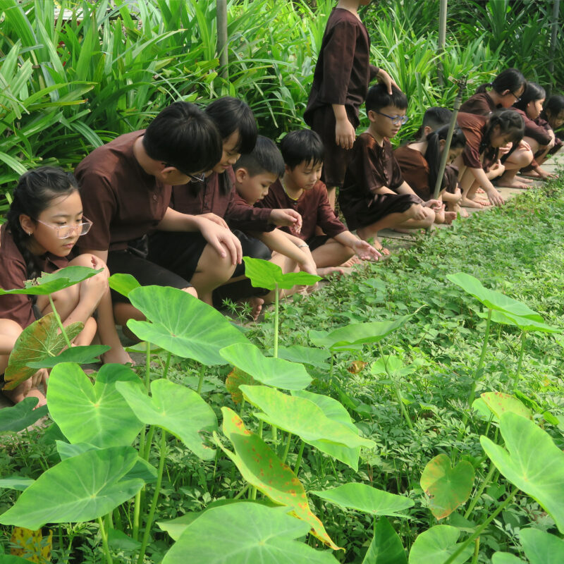 Hình 8: Không gian xanh mướt của Happy Farm Garden chính là 'chất xúc tác' tuyệt vời để các VSCHOOLers mở lòng và xích lại gần nhau hơn.