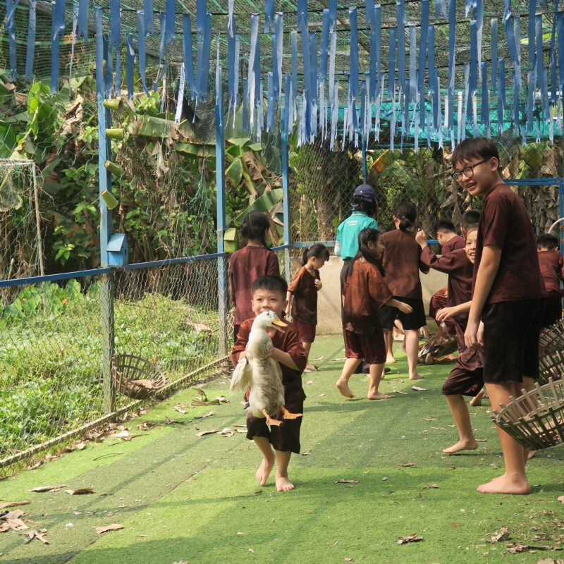 Hình 6-7: Trổ tài khéo léo, hoá thân thành một người nông dân thực thụ